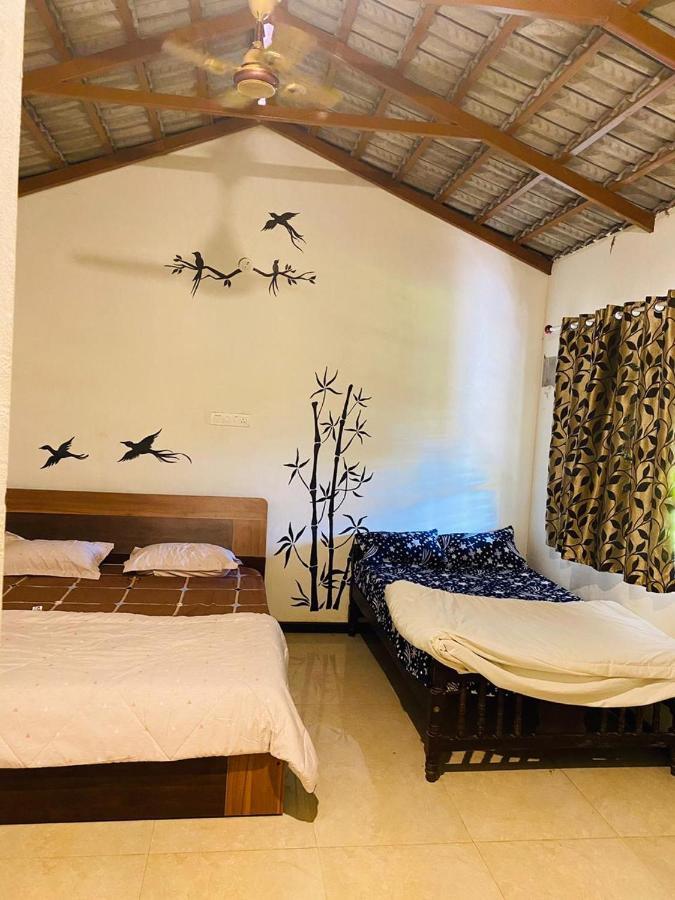 Hostel Trippr Chikkamagaluru Chikmagalūr Zewnętrze zdjęcie