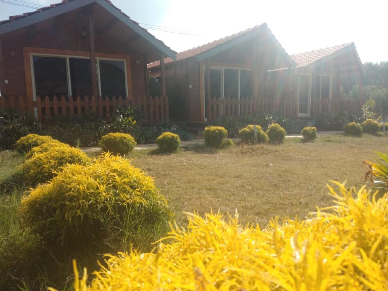 Hostel Trippr Chikkamagaluru Chikmagalūr Zewnętrze zdjęcie